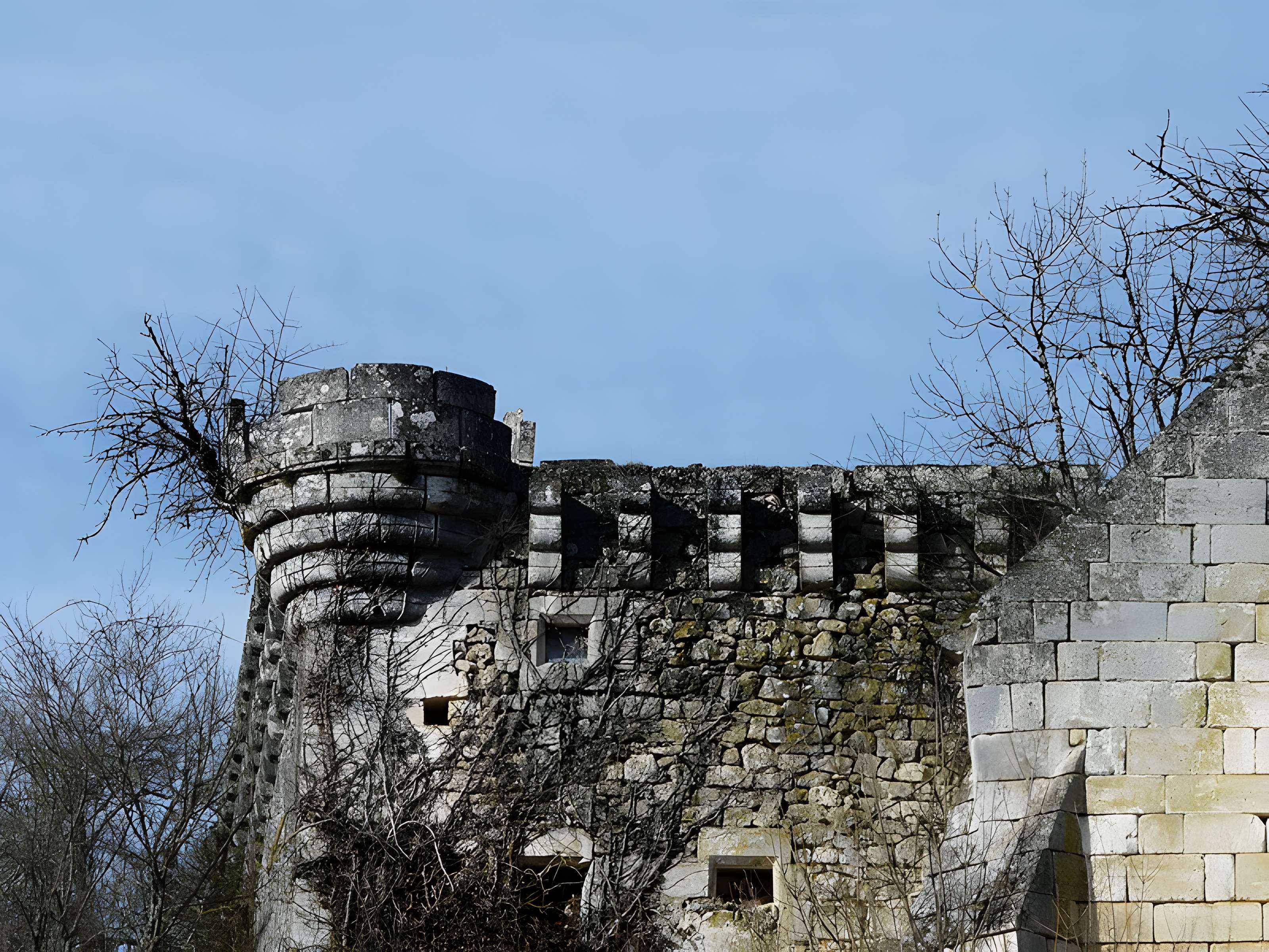Ruines du château de Jovelle