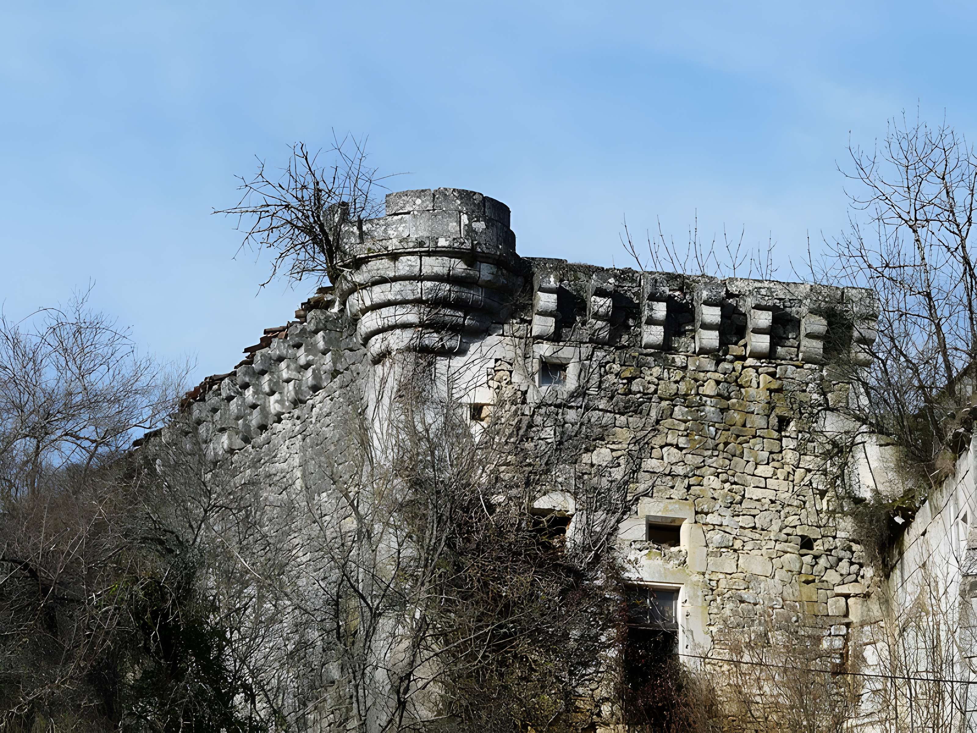 Ruines du château de Jovelle