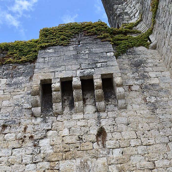 Photo de Château de la bastide à Eymet