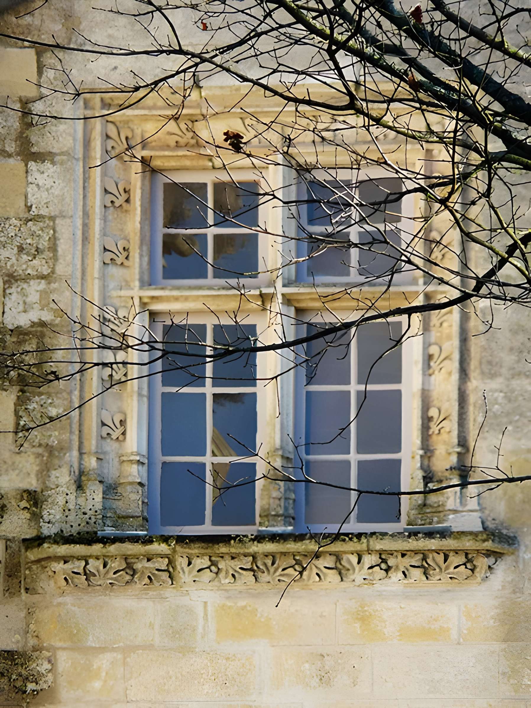 Château de la Bonnetie