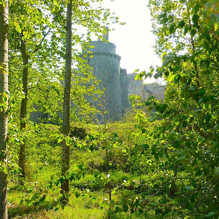 Photo de Château de la Hunaudaye