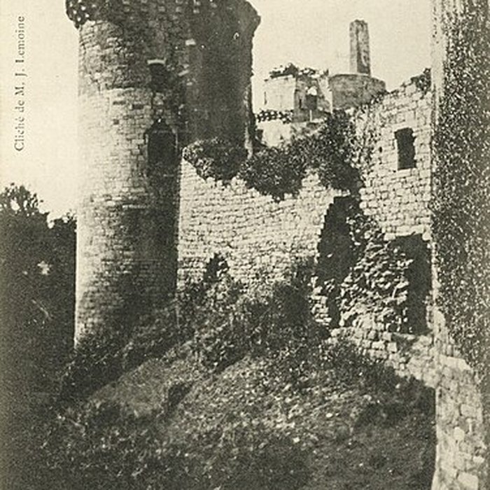 Photo de Château de la Hunaudaye