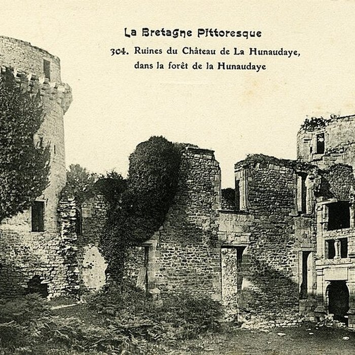 Photo de Château de la Hunaudaye