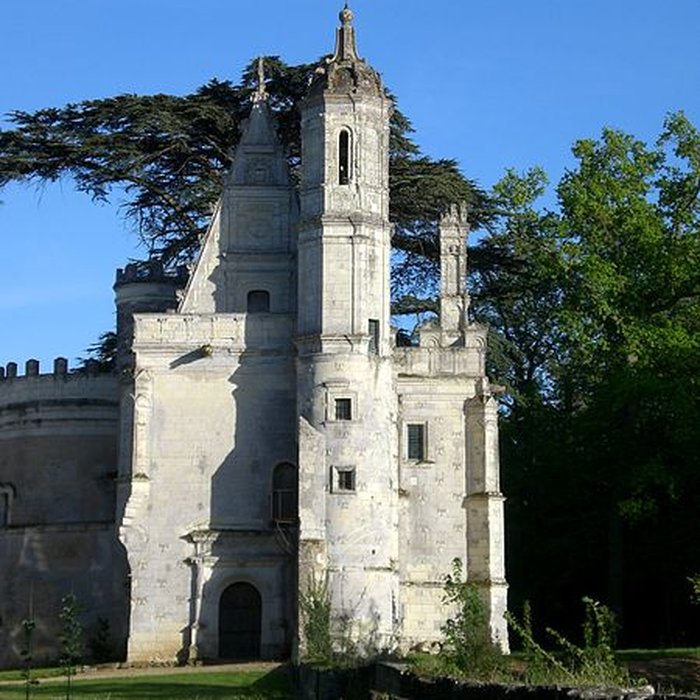 Photo de Château de la Bourgonnière