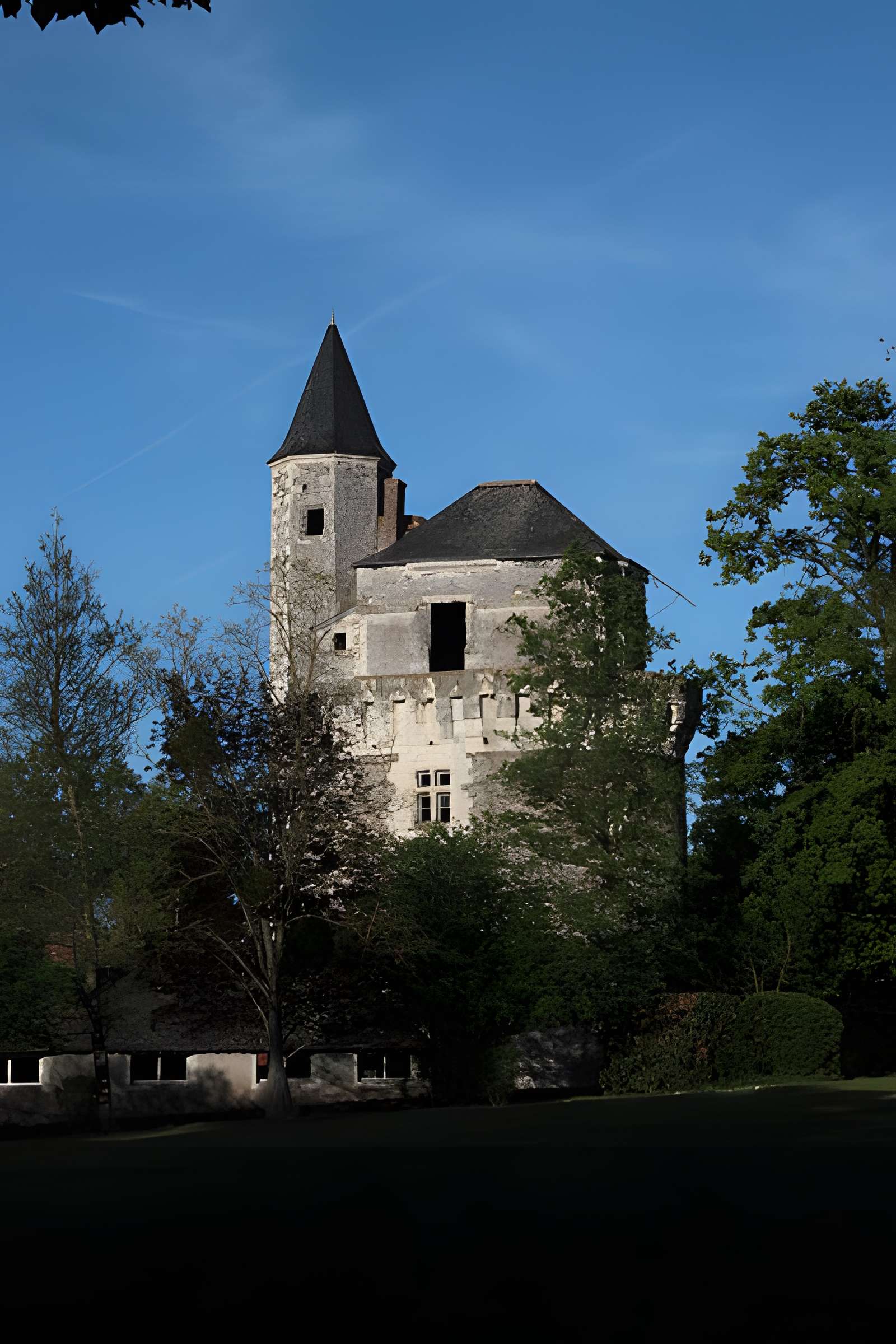 Château de la Bourgonnière