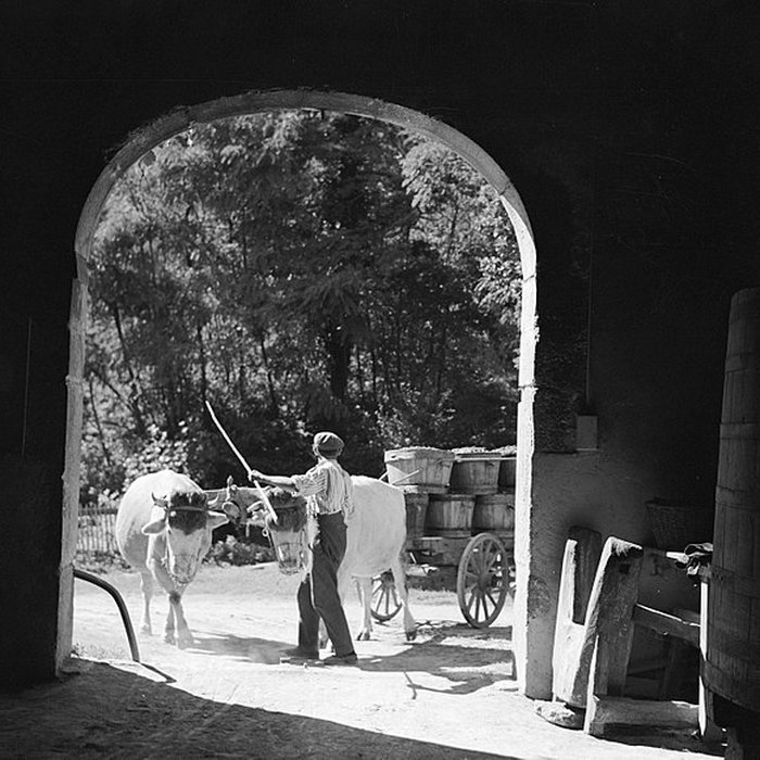 Photo de Château de la Chaize à Odenas