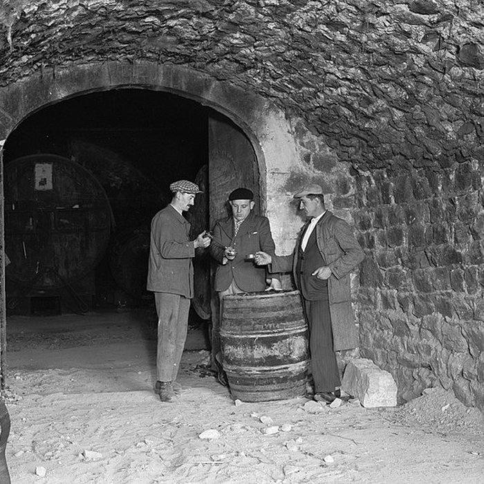 Photo de Château de la Chaize à Odenas