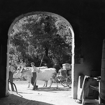 Château de la Chaize à Odenas