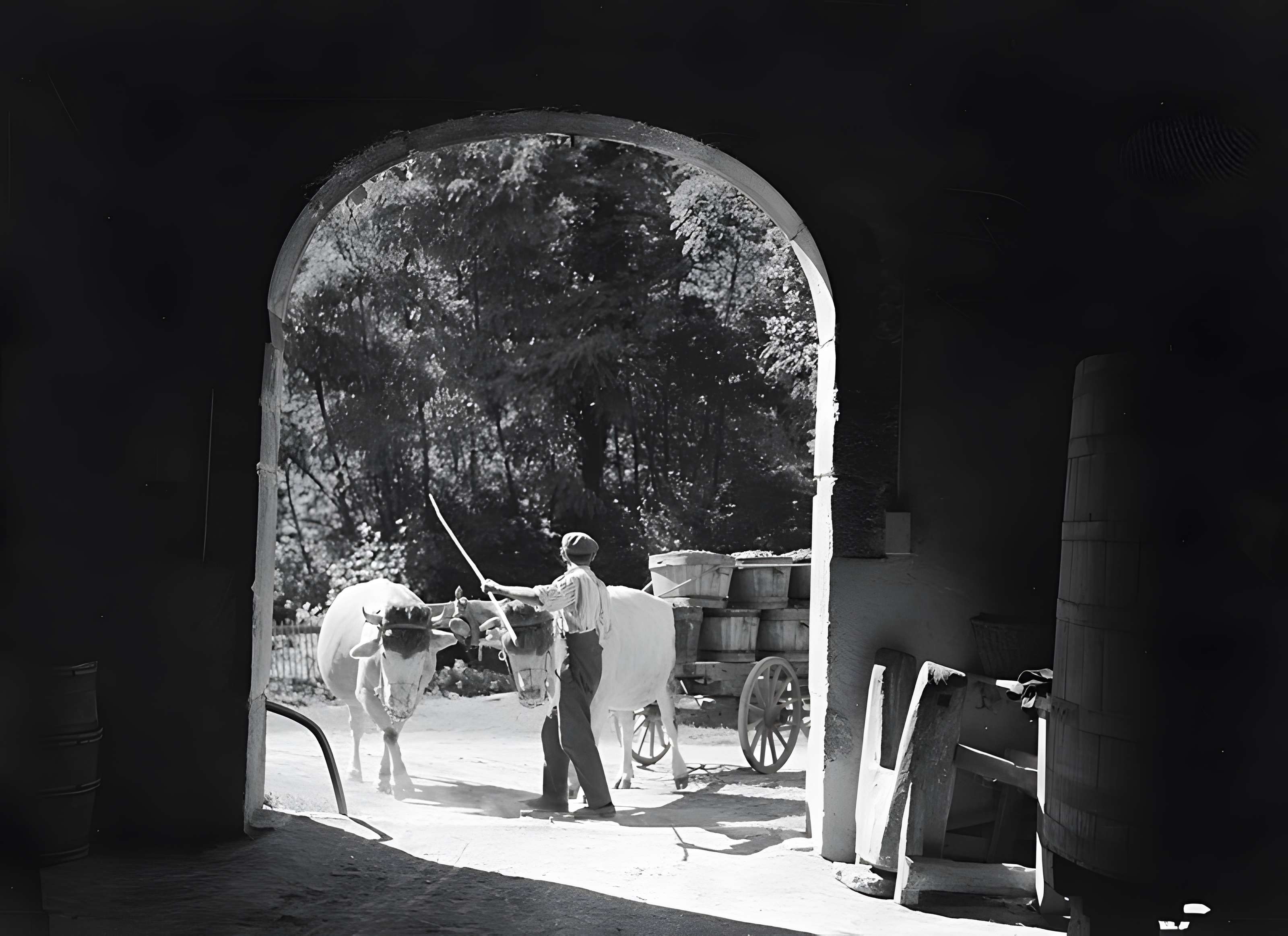 Château de la Chaize à Odenas