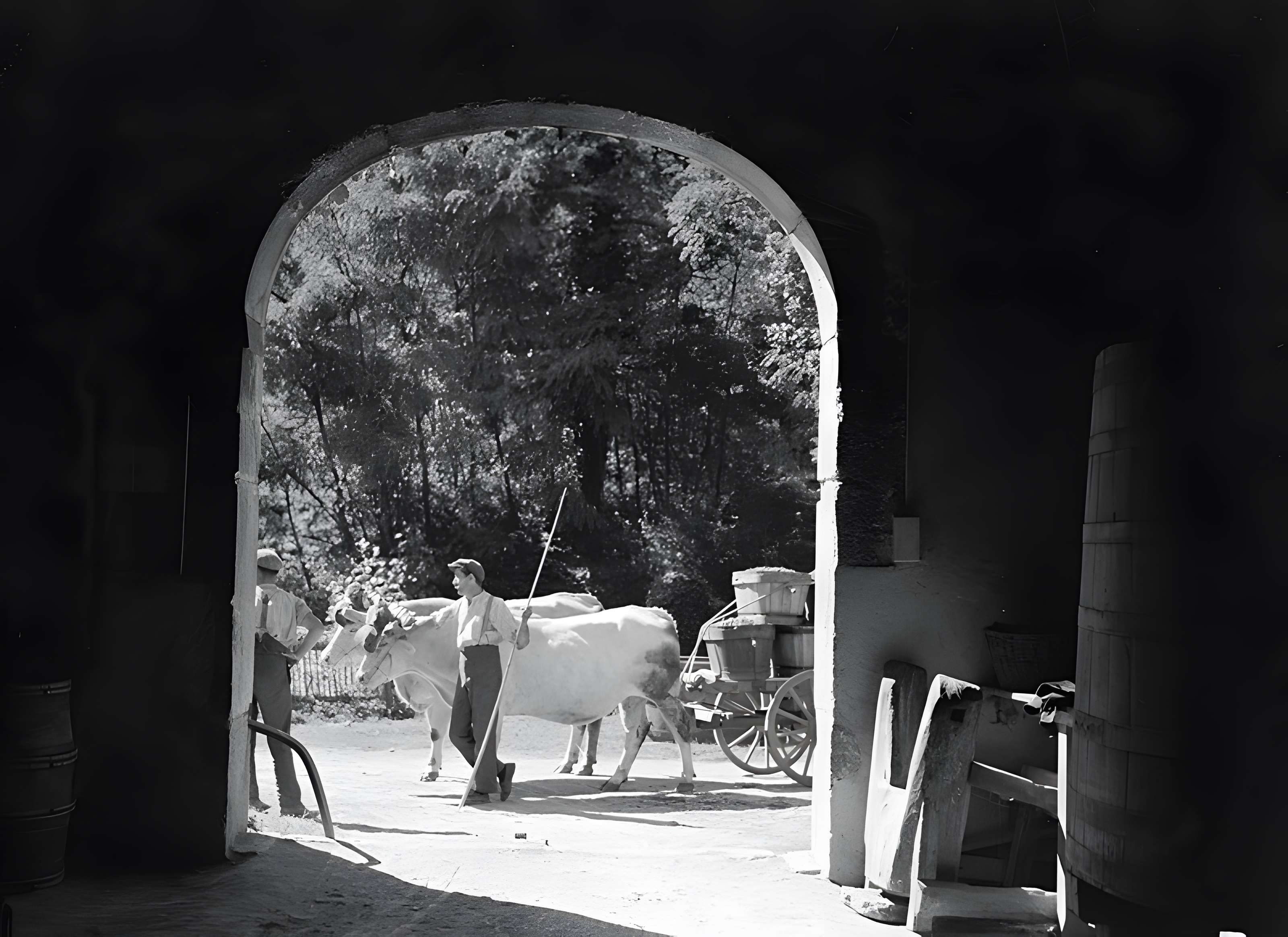 Château de la Chaize à Odenas