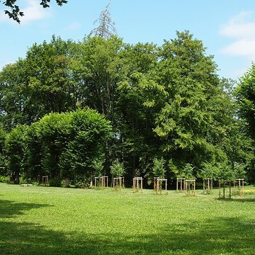Château de la Chaussade