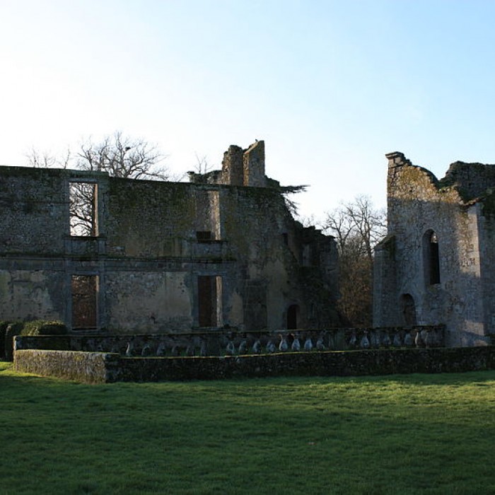 Photo de Château de la Durbelière