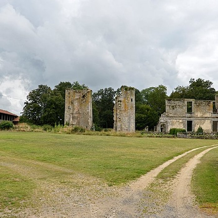 Photo de Château de la Durbelière