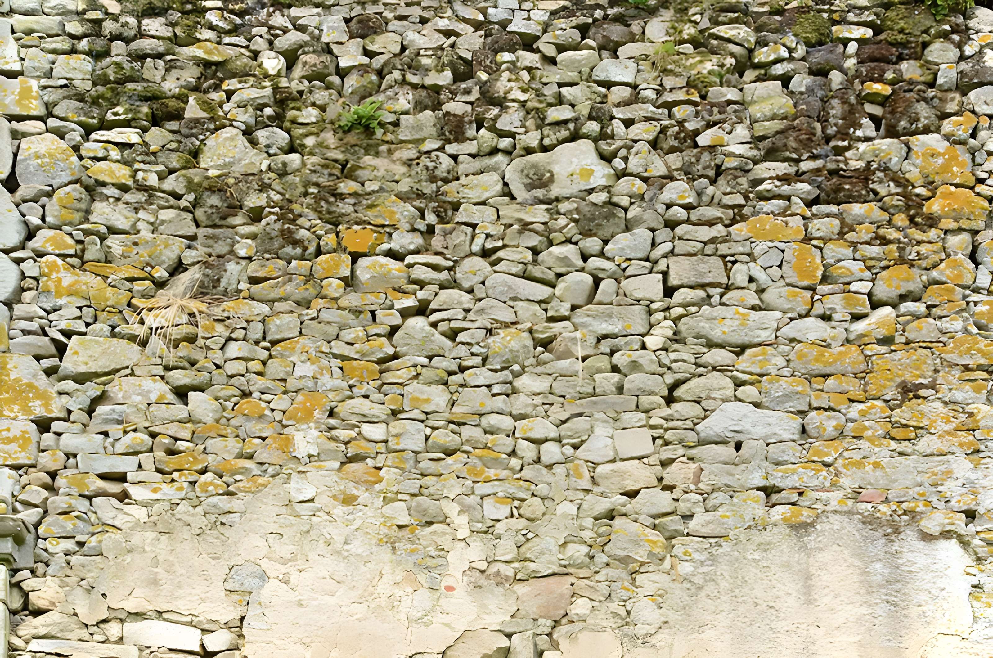 Château de la Durbelière