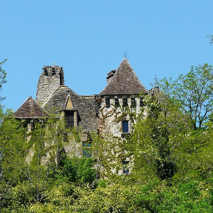 Photo de Château de la Faye à Auriac-du-Périgord