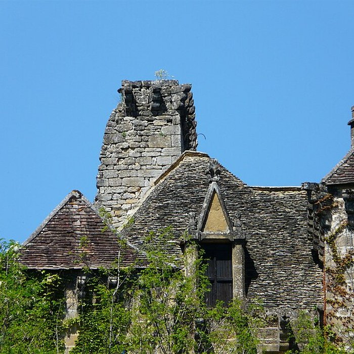 Photo de Château de la Faye à Auriac-du-Périgord