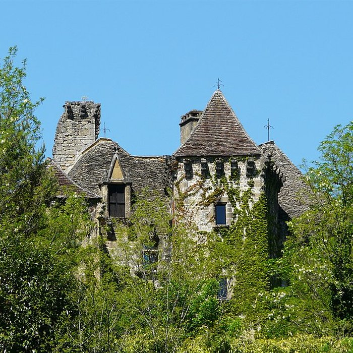 Photo de Château de la Faye à Auriac-du-Périgord