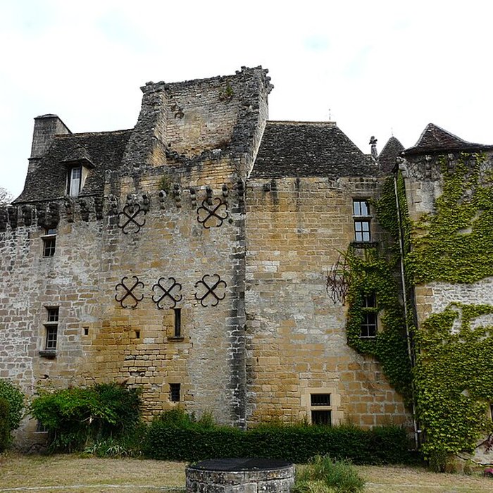 Photo de Château de la Faye à Auriac-du-Périgord