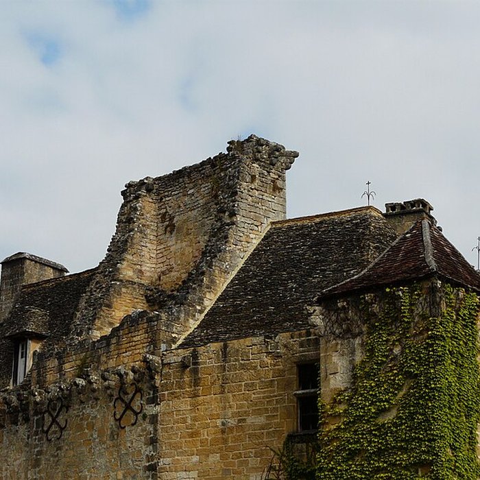 Photo de Château de la Faye à Auriac-du-Périgord