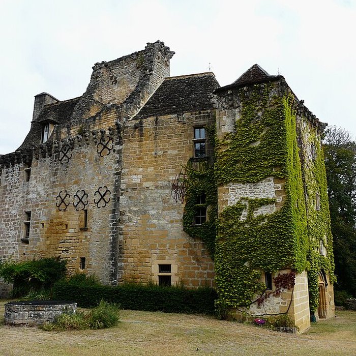Photo de Château de la Faye à Auriac-du-Périgord