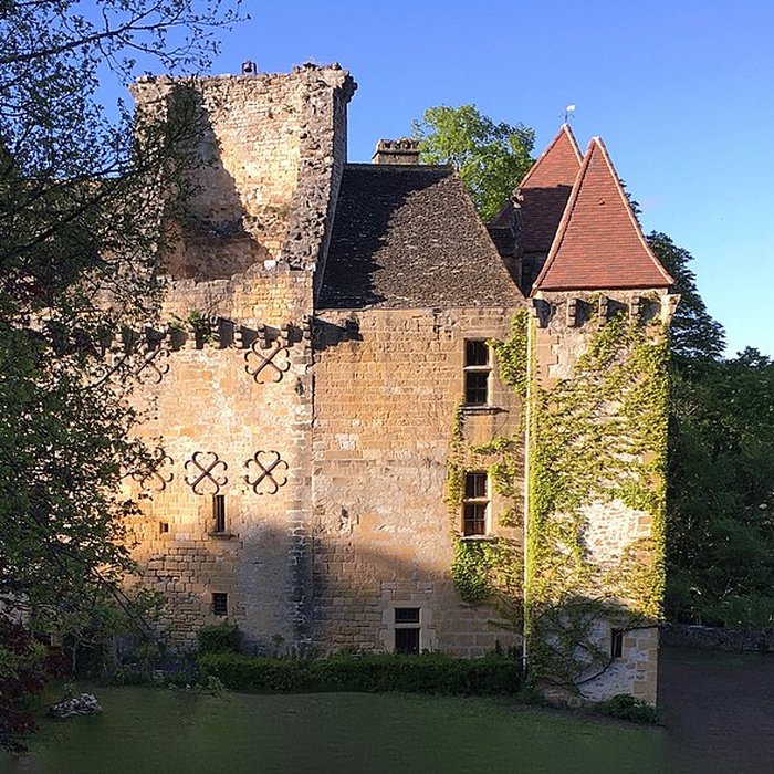 Photo de Château de la Faye à Auriac-du-Périgord