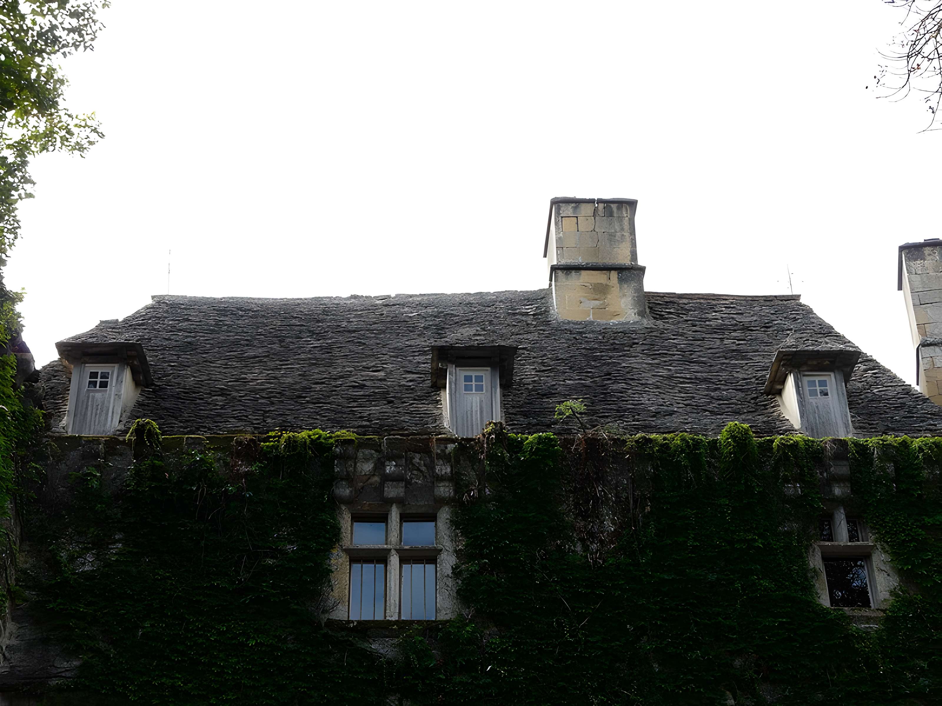 Château de la Faye à Auriac-du-Périgord