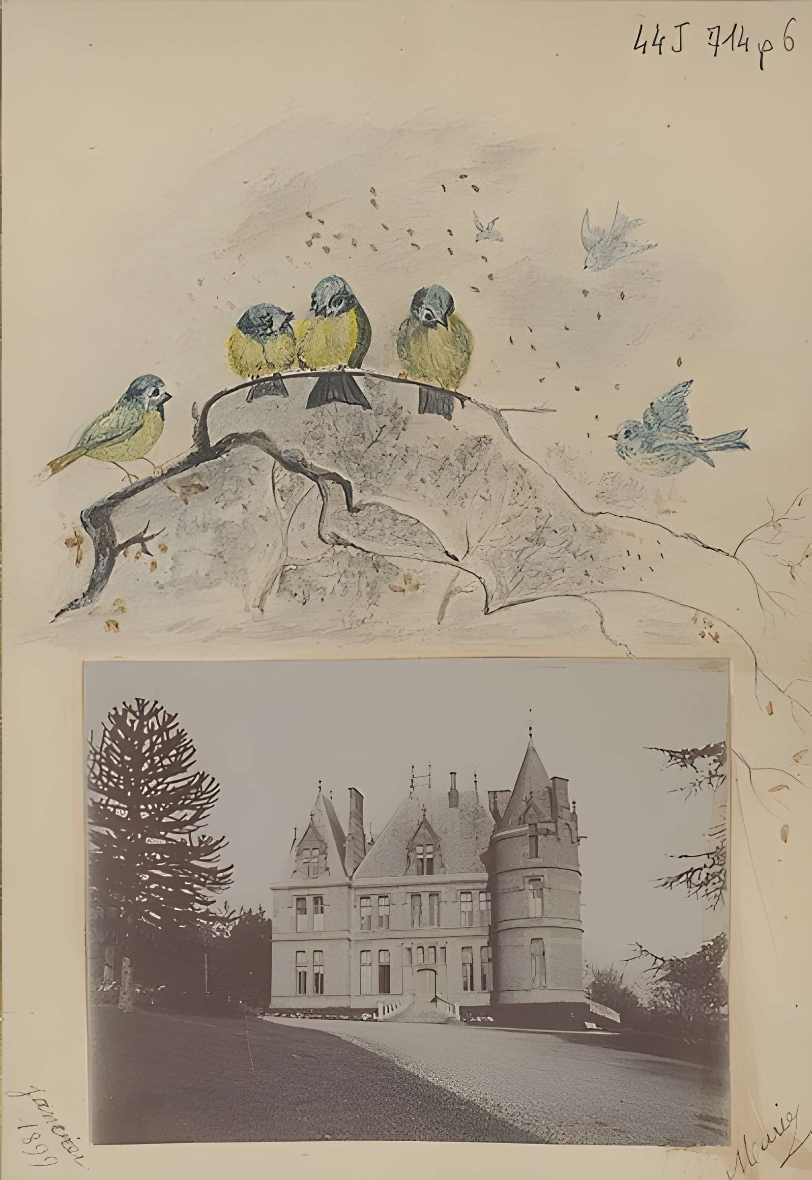 Château de la Flachère