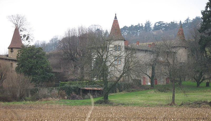 Photo de Château de la Fontaine à Anse