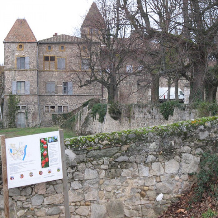 Photo de Château de La Gallée