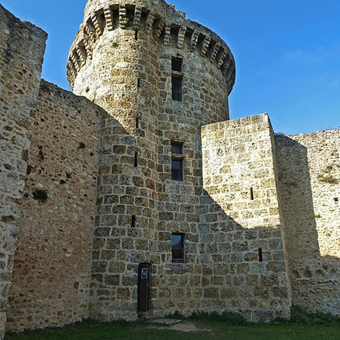 Photo de Château de la Madeleine à Chevreuse