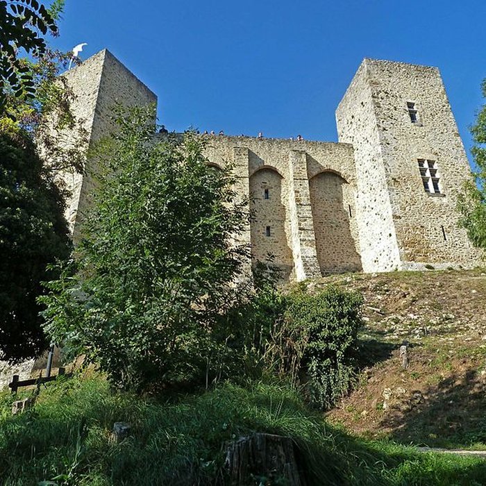 Photo de Château de la Madeleine à Chevreuse