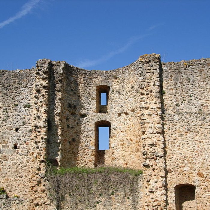 Photo de Château de la Madeleine à Chevreuse