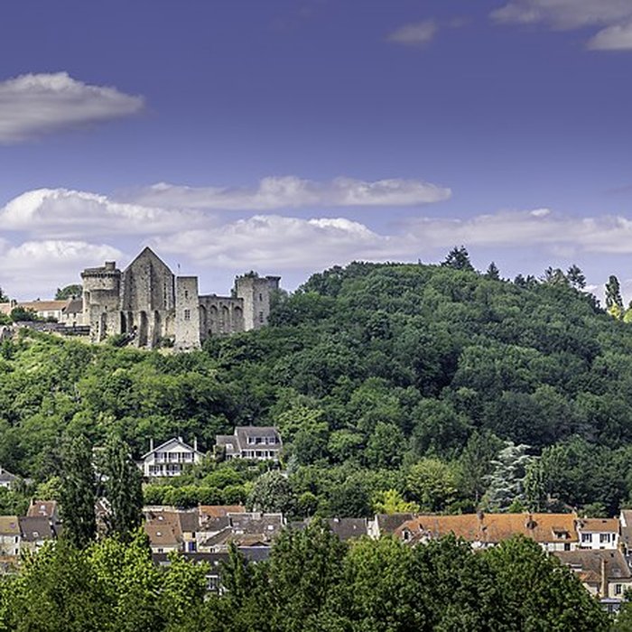 Photo de Château de la Madeleine à Chevreuse