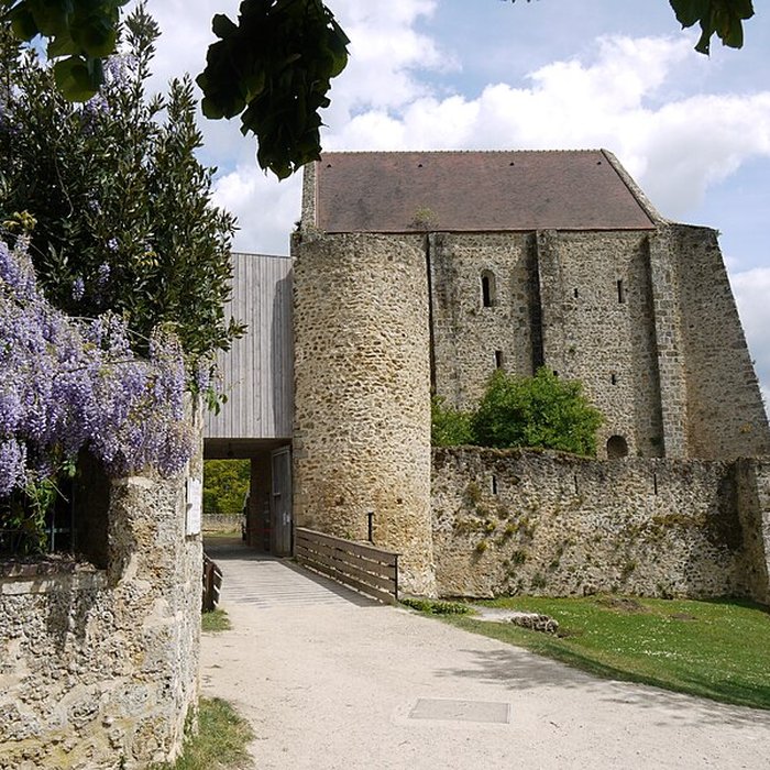 Photo de Château de la Madeleine à Chevreuse