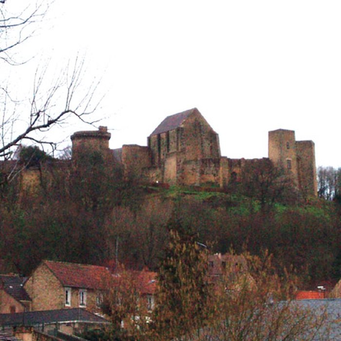 Photo de Château de la Madeleine à Chevreuse