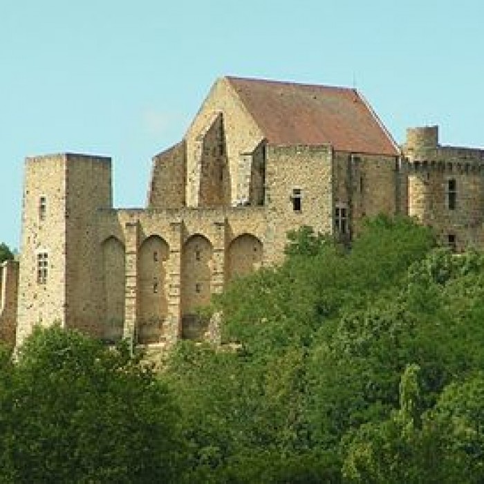 Photo de Château de la Madeleine à Chevreuse