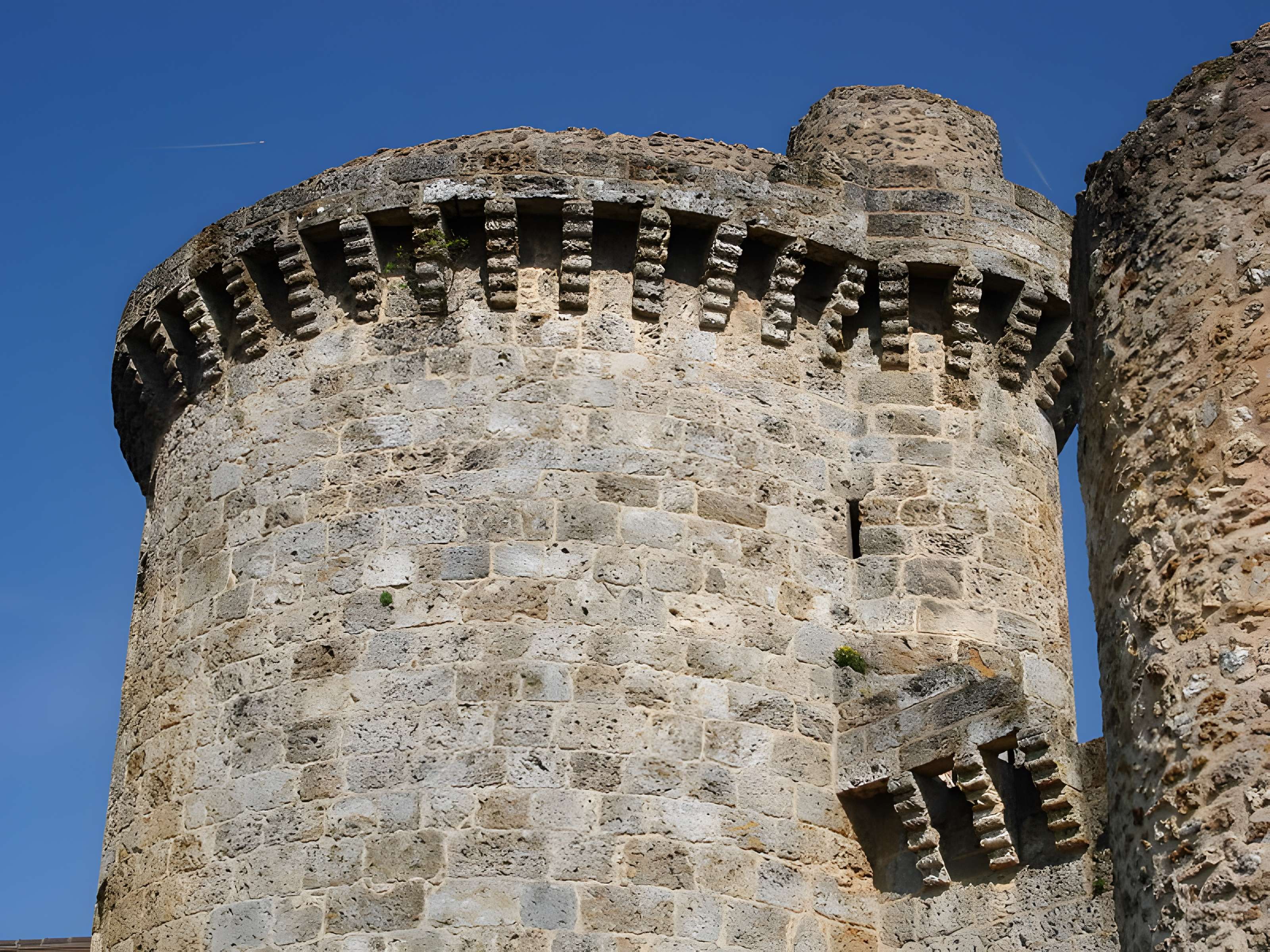 Château de la Madeleine à Chevreuse