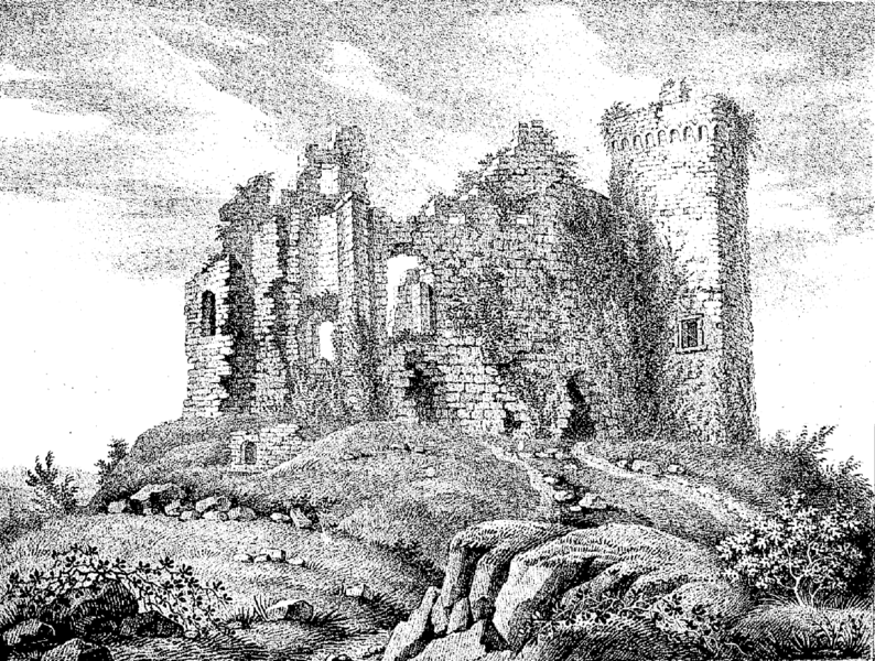 Photo de Château de La Haye-du-Puits