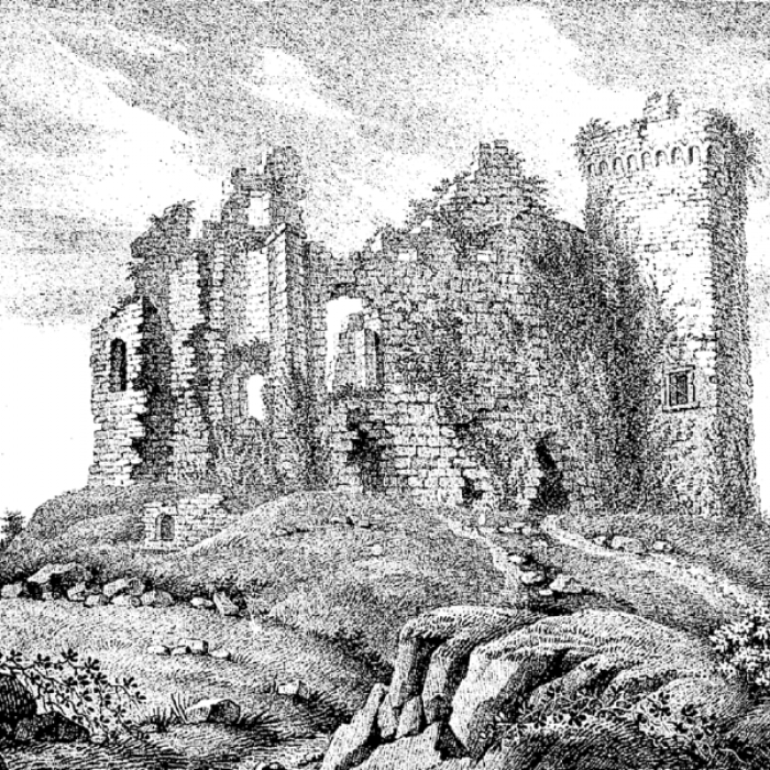 Photo de Château de La Haye-du-Puits