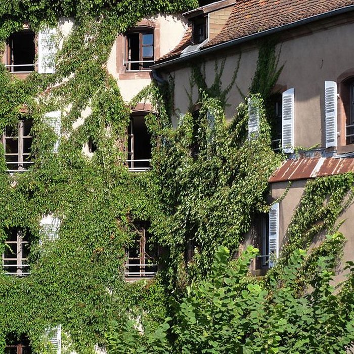 Photo de Château de La Petite Pierre