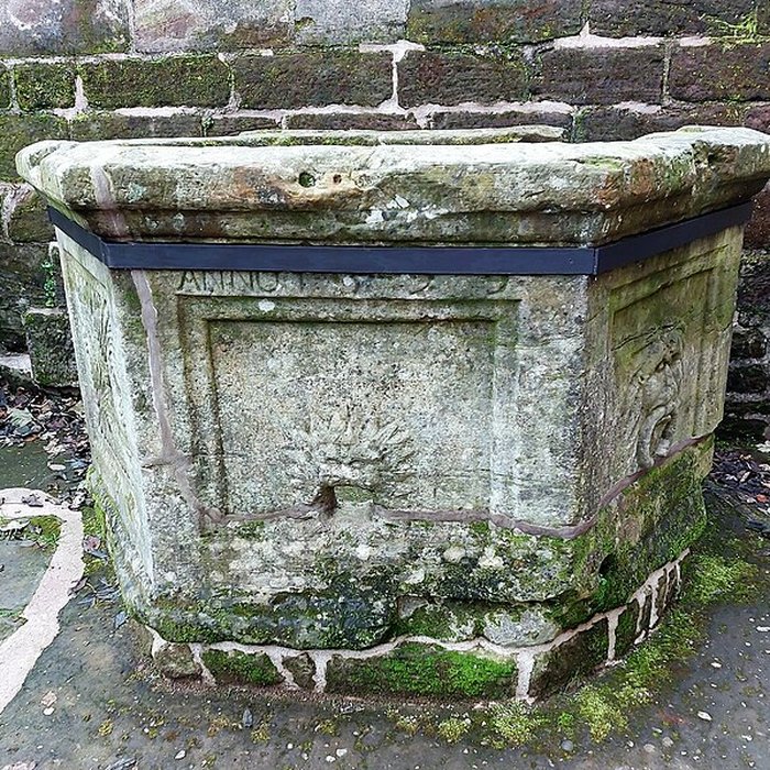 Photo de Château de La Petite Pierre