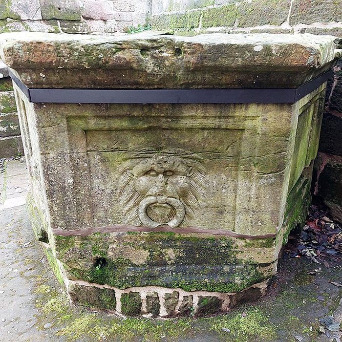 Photo de Château de La Petite Pierre