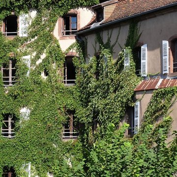 Château de La Petite Pierre