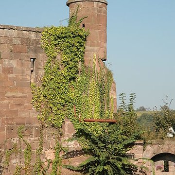 Château de La Petite Pierre