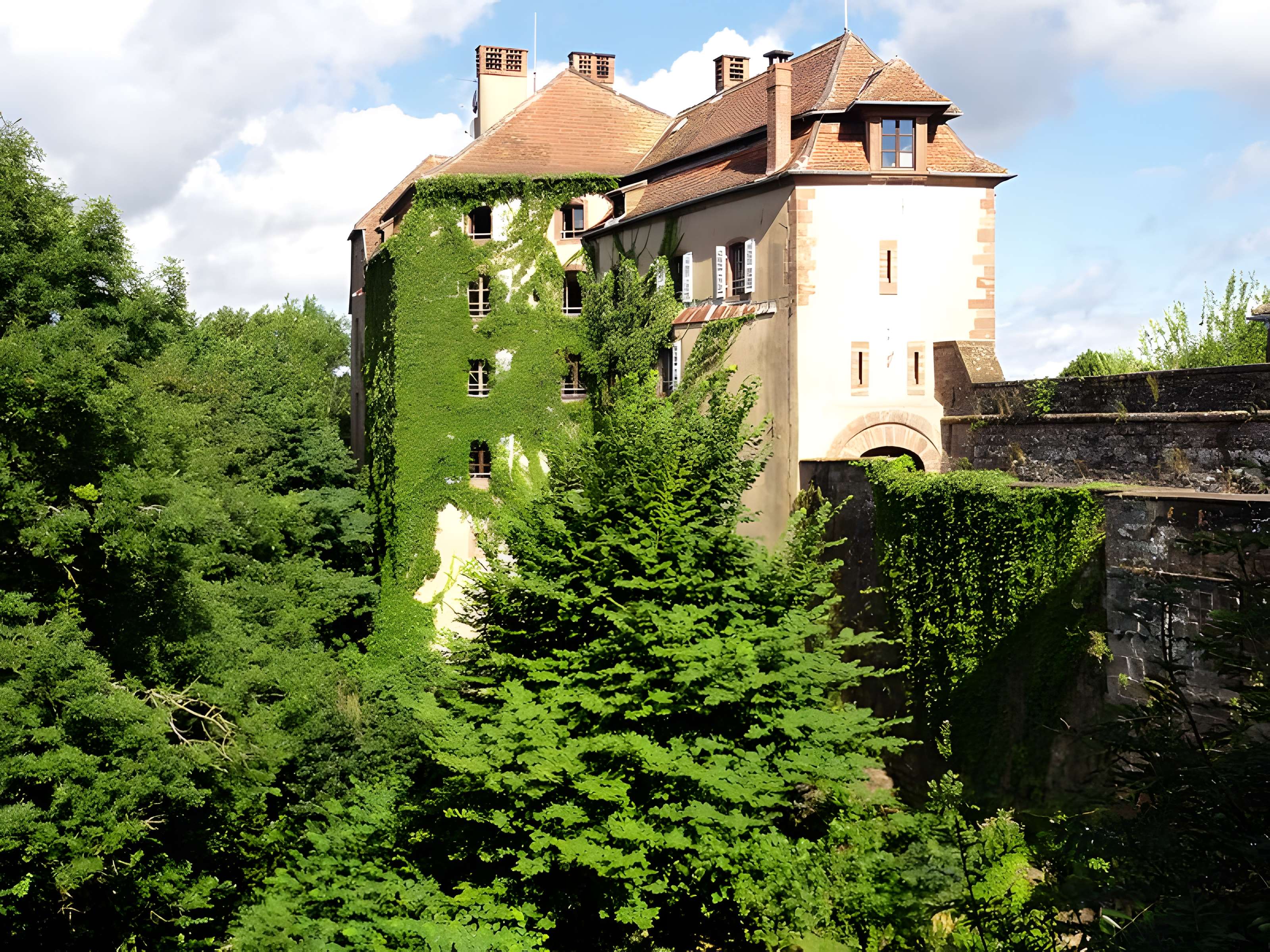 Château de La Petite Pierre