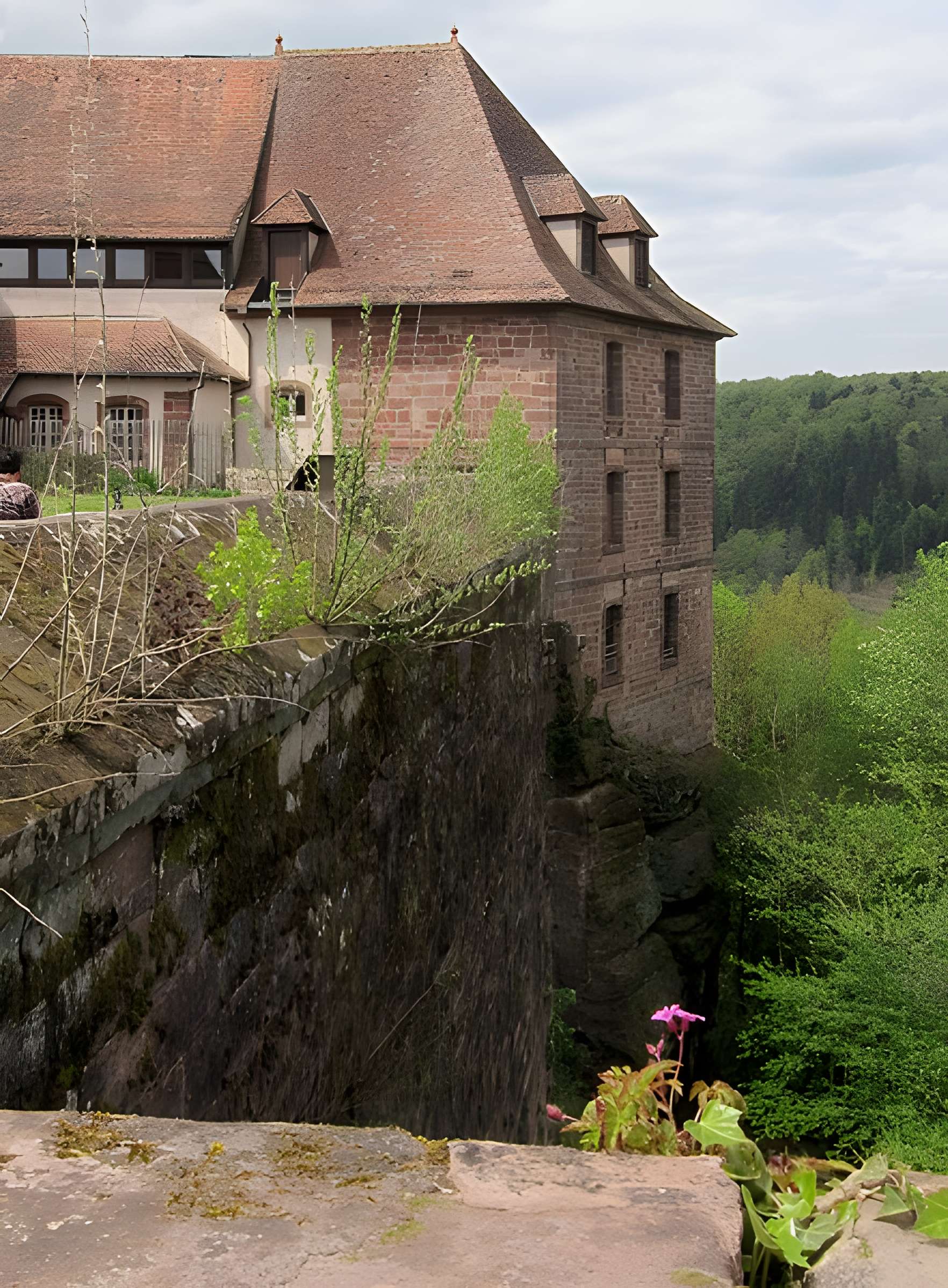 Château de La Petite Pierre