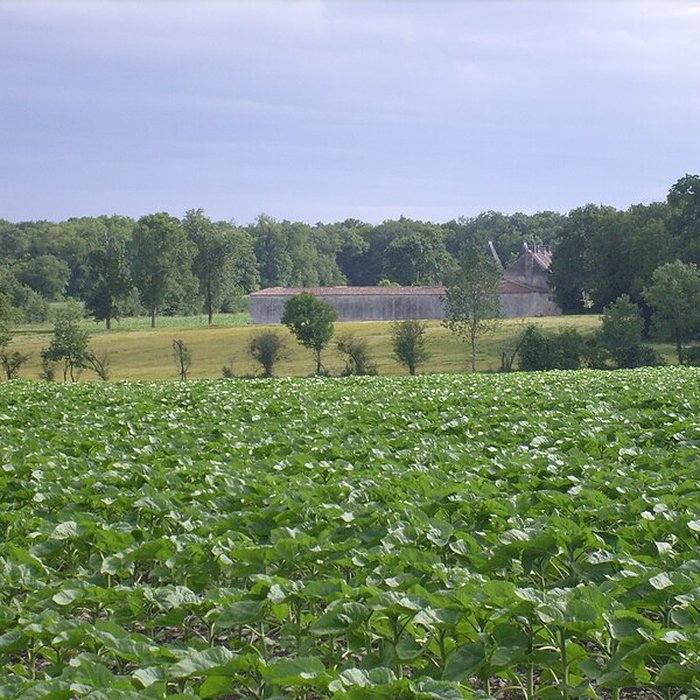 Photo de Château de la Rigaudière