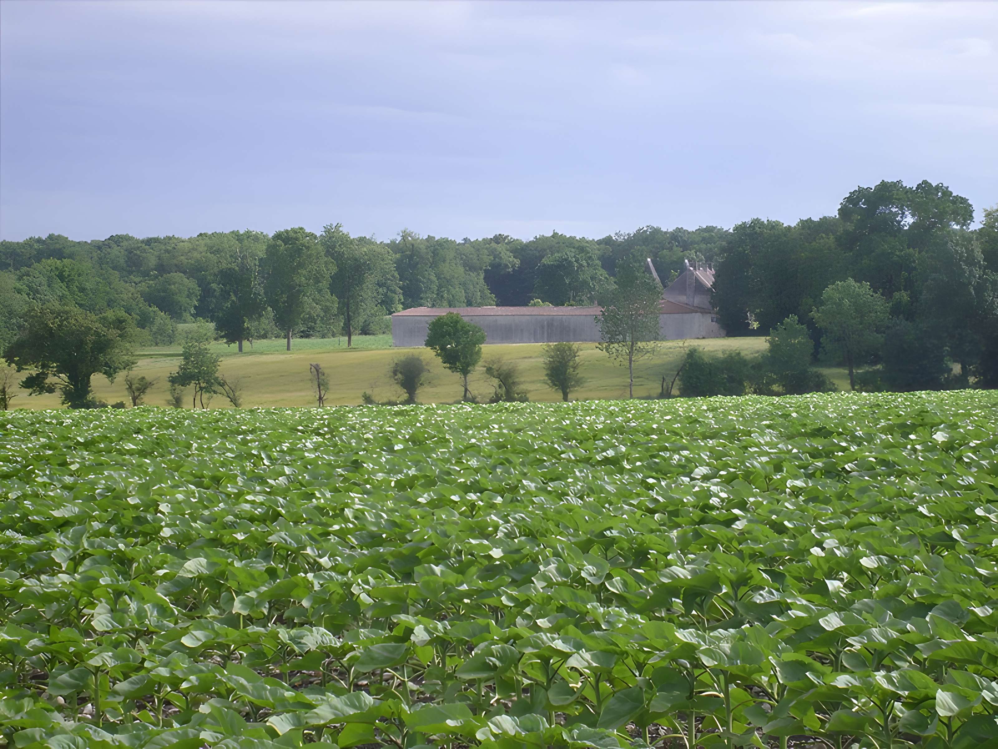 Château de la Rigaudière