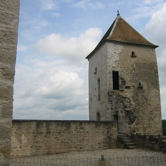 Photo de Château de La Roche à Rigney
