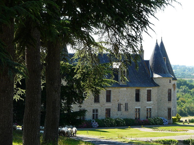 Photo de Château de la Roche Faton